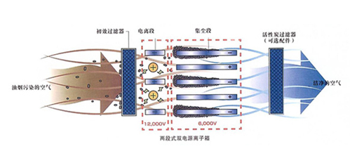 731705459605545.jpg